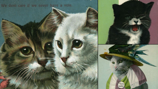 Suffragette Cats Are the Original Cat Ladies